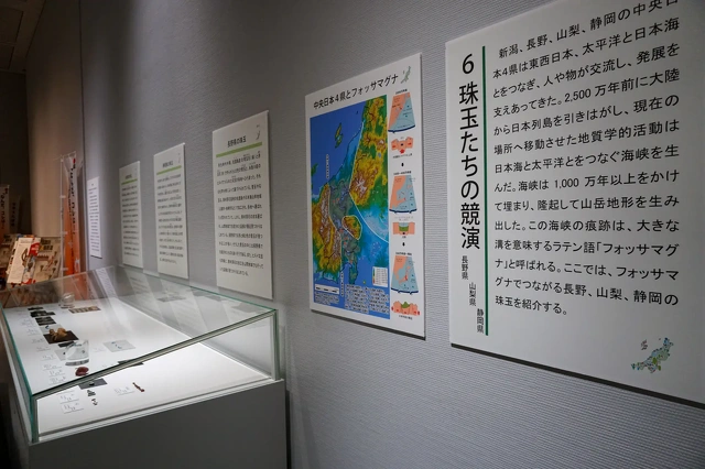 新潟県立歴史博物館2024秋季テーマ展 珠玉の国新潟